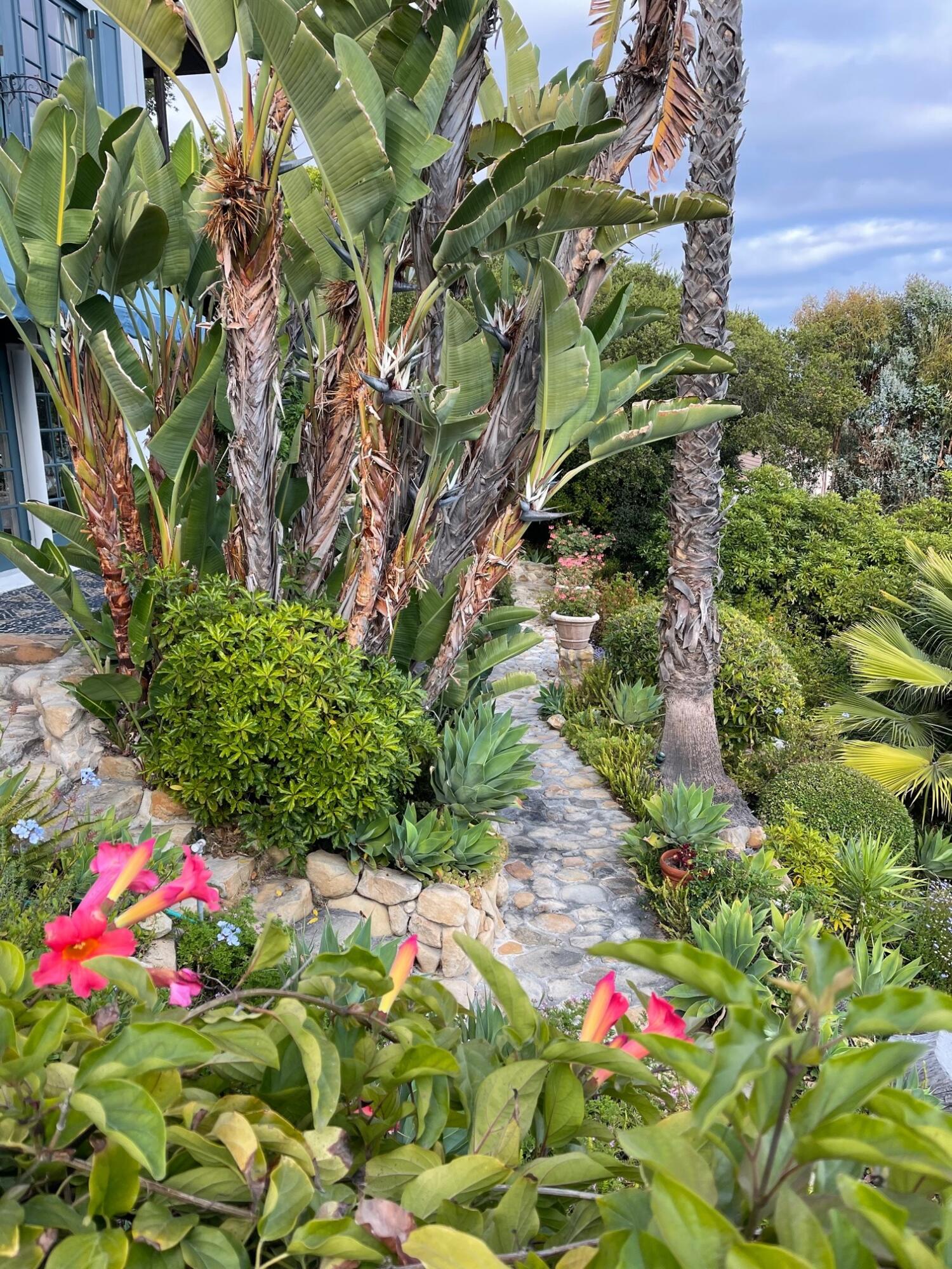 0 Mission Ridge Road Santa Barbara, CA 93103 - Photo 63 of 71 IMG_8091