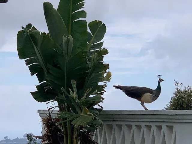 $18,000 | 0 Mission Ridge Road, Santa Barbara, CA 93103