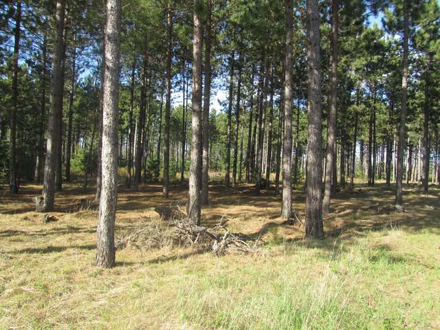 Lot 29 Bosshard Cir Road Woodruff, WI 54568 - Photo 2 of 4 Gallery Image 2