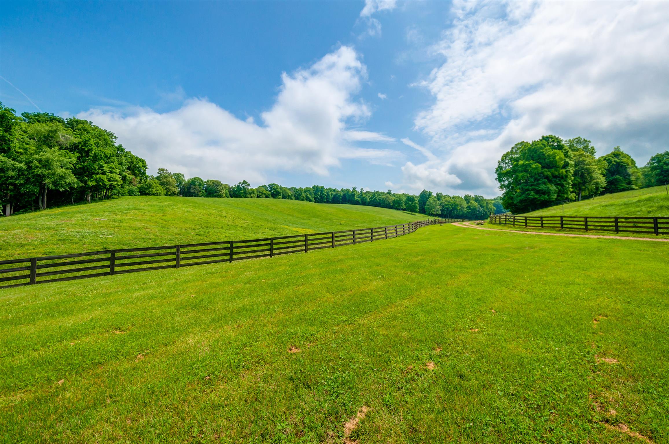 810 Wiltshire Road Vanleer, TN 37181 - Photo 2 of 30 Gallery Image 2