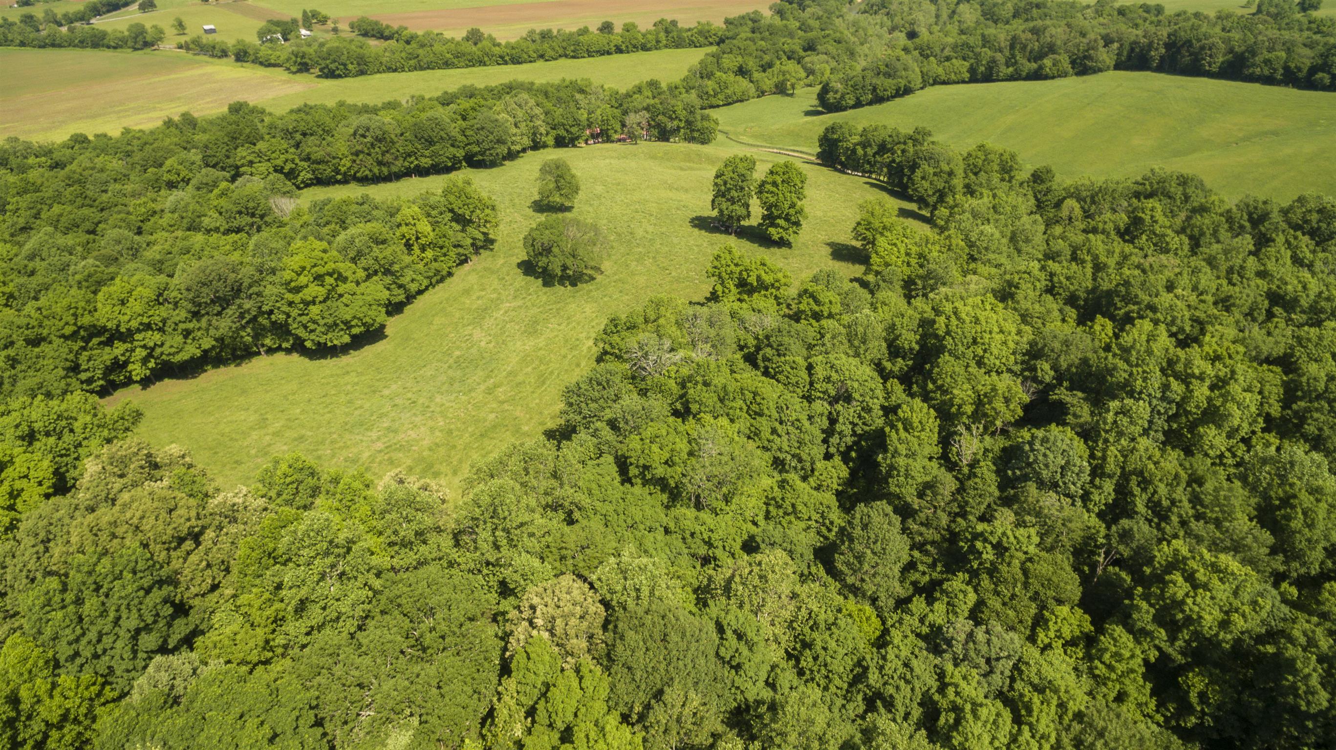810 Wiltshire Road Vanleer, TN 37181 - Photo 29 of 30 Gallery Image 29
