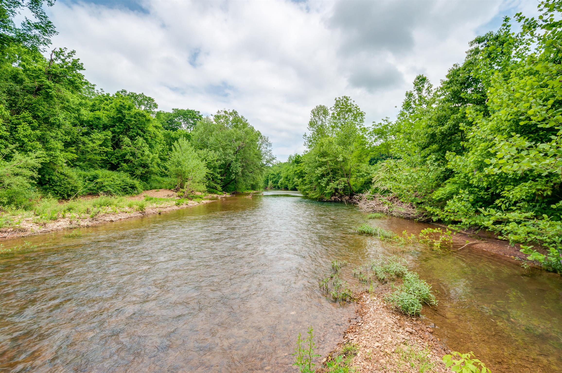 810 Wiltshire Road Vanleer, TN 37181 - Photo 5 of 30 Gallery Image 5
