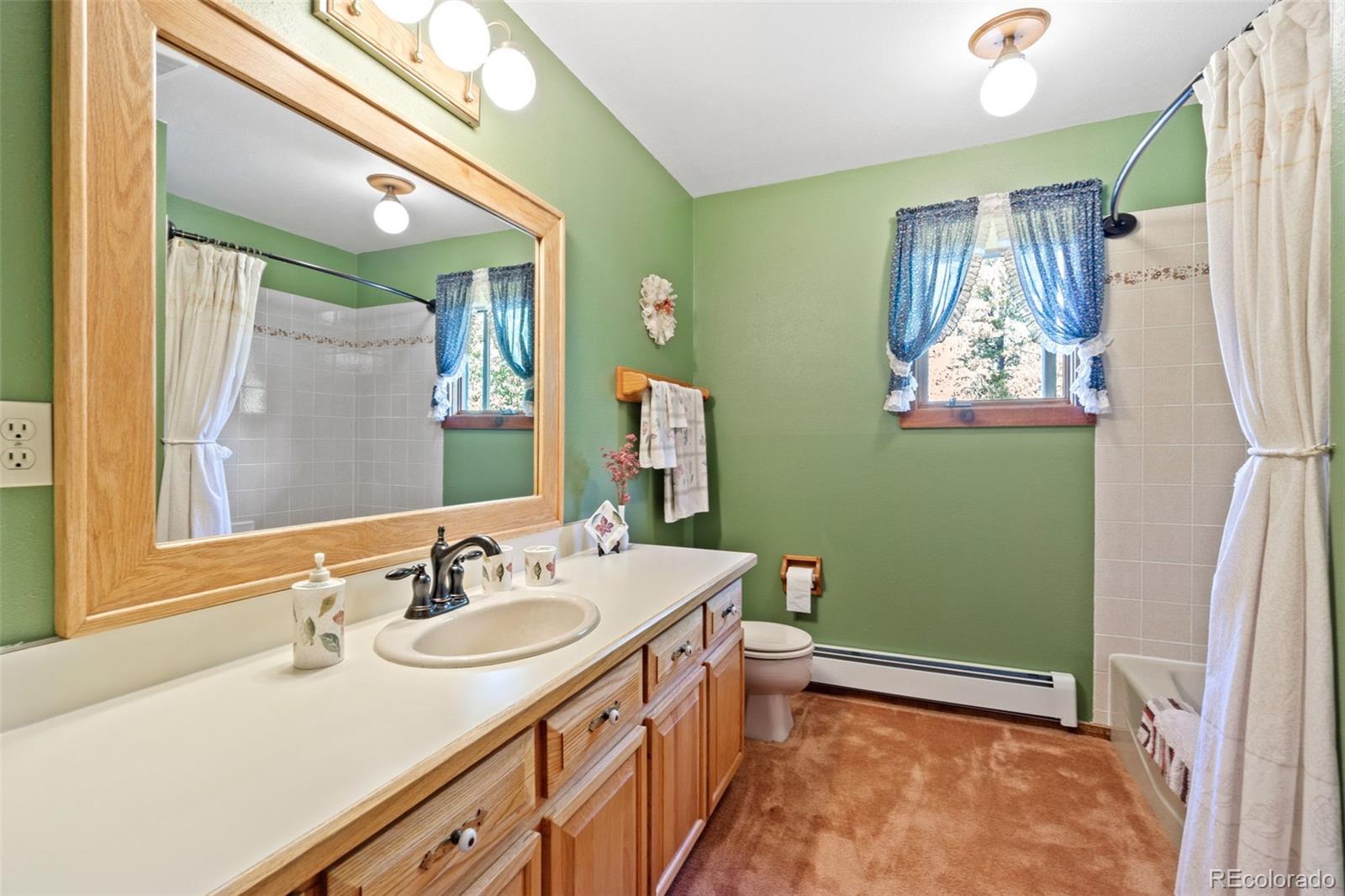 600 Old Squaw Pass Road Evergreen, CO 80439 - Photo 29 of 40 a bathroom with a sink a toilet a mirror and vanity