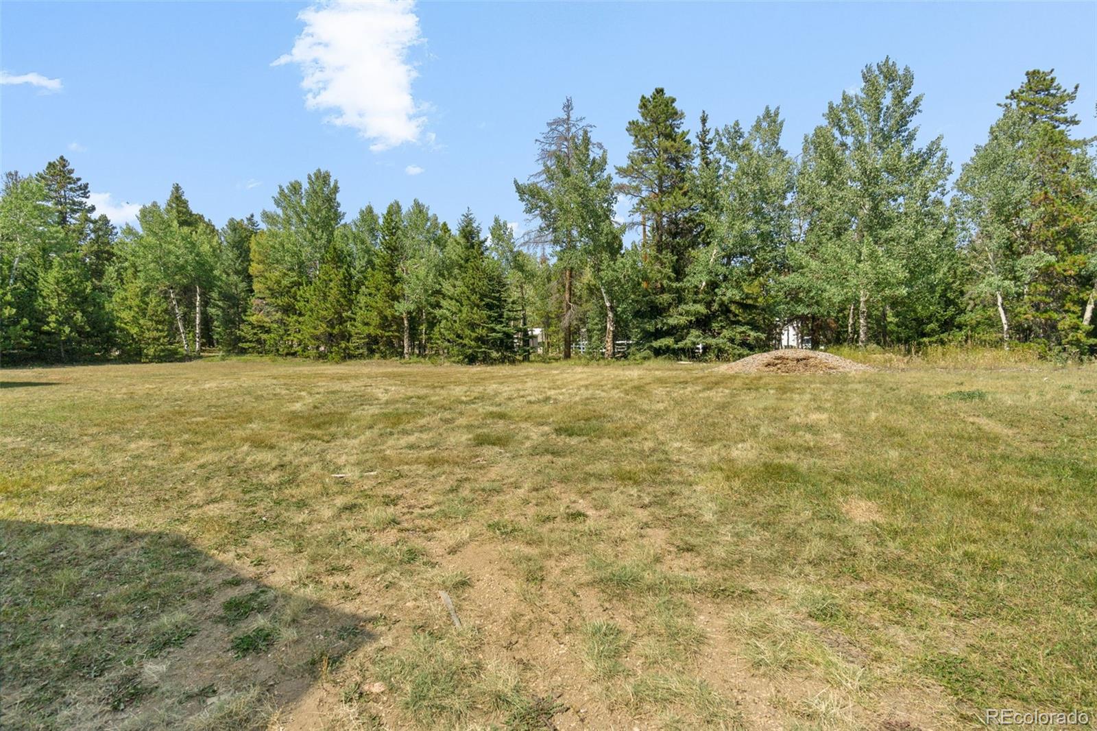600 Old Squaw Pass Road Evergreen, CO 80439 - Photo 34 of 40 a view of yard with trees