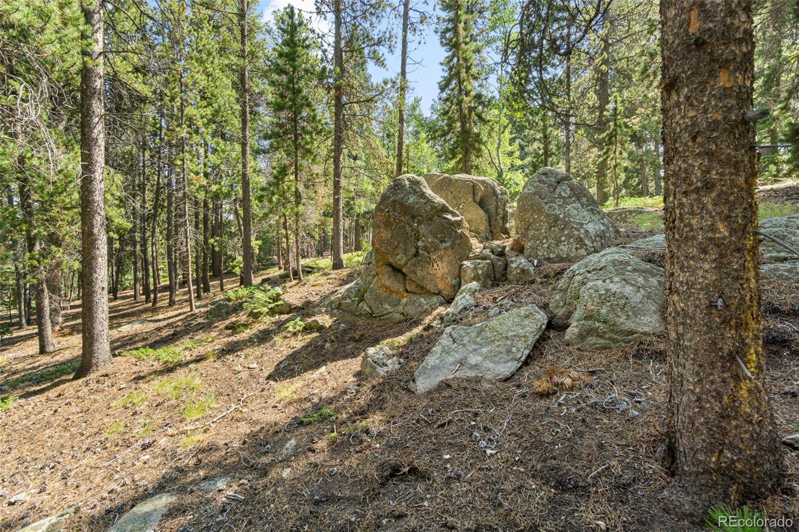 600 Old Squaw Pass Road Evergreen, CO 80439 - Photo 35 of 40 a view of a forest with trees