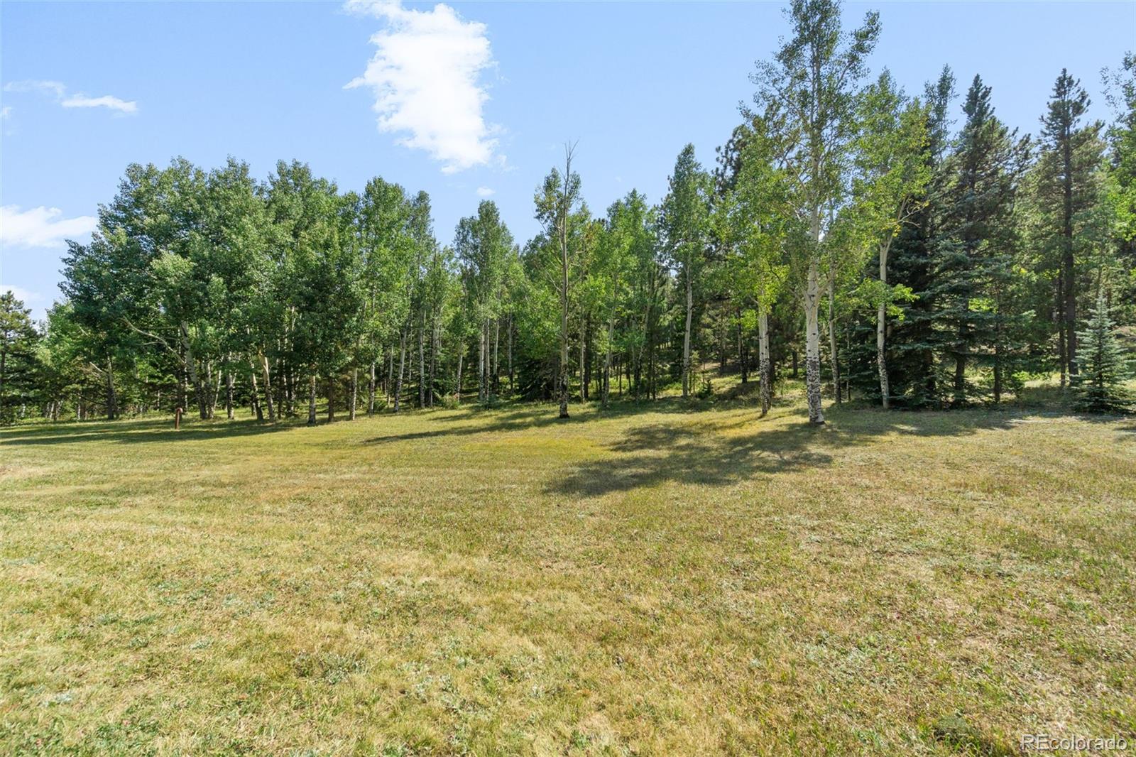 600 Old Squaw Pass Road Evergreen, CO 80439 - Photo 37 of 40 a view of outdoor space with trees all around