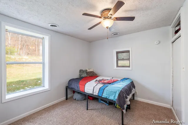 $209,900 | 5281 Bluewater Highway, Saranac, MI 48881