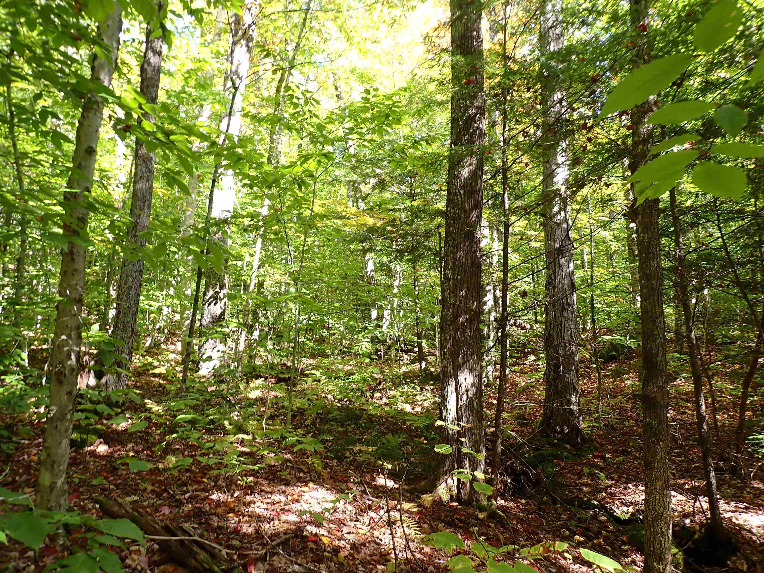 Jewell Hill Road Hebron, NH 03241 - Photo 3 of 23 Gallery Image 3