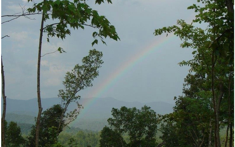 Stevens Ridge Road Ellijay, GA 30540 - Photo 1 of 1 Main View