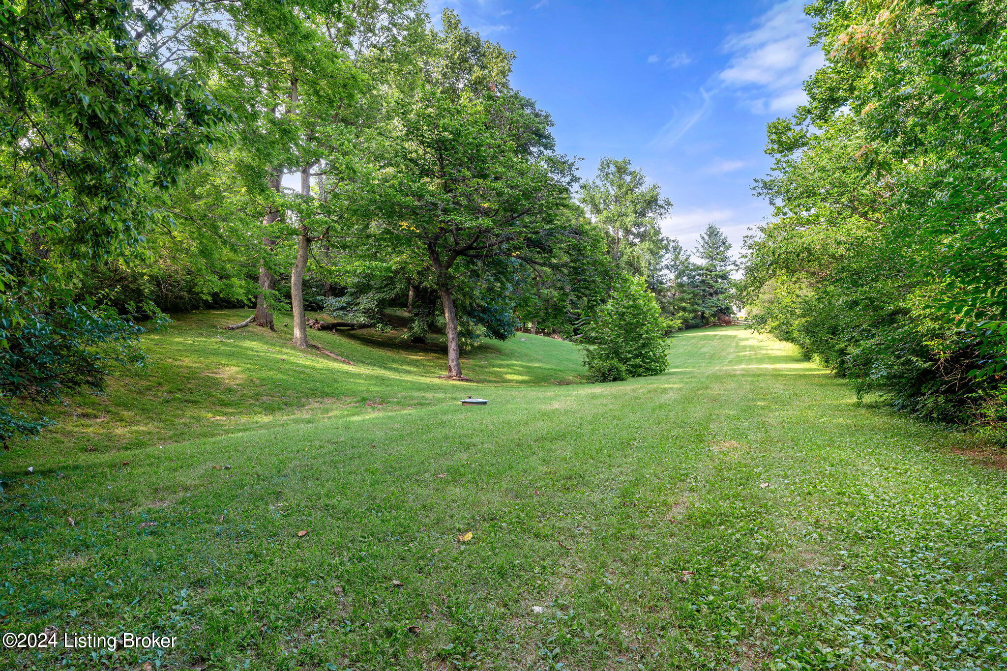 4317 River Road Louisville, KY 40222 - Photo 3 of 23 Plot of Land (10 of 20)