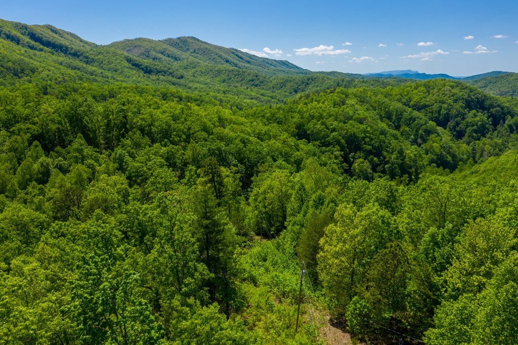0 Henry Town Road Sevierville, TN 37876 - Photo 3 of 38 Gallery Image 3