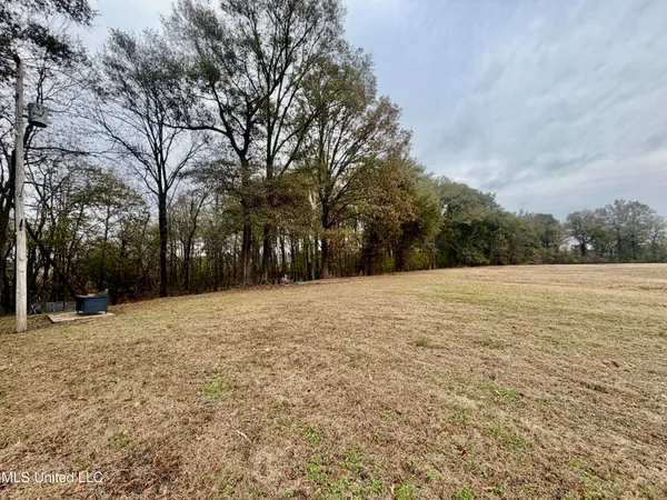 $300,000 | 11404 Tippo Road, Charleston, MS 38921