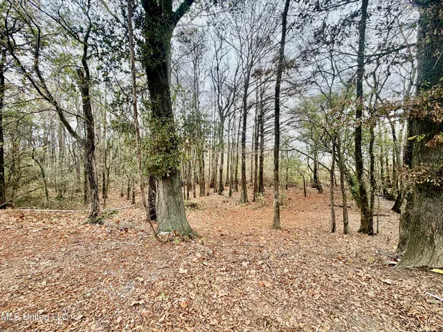 $300,000 | 11404 Tippo Road, Charleston, MS 38921