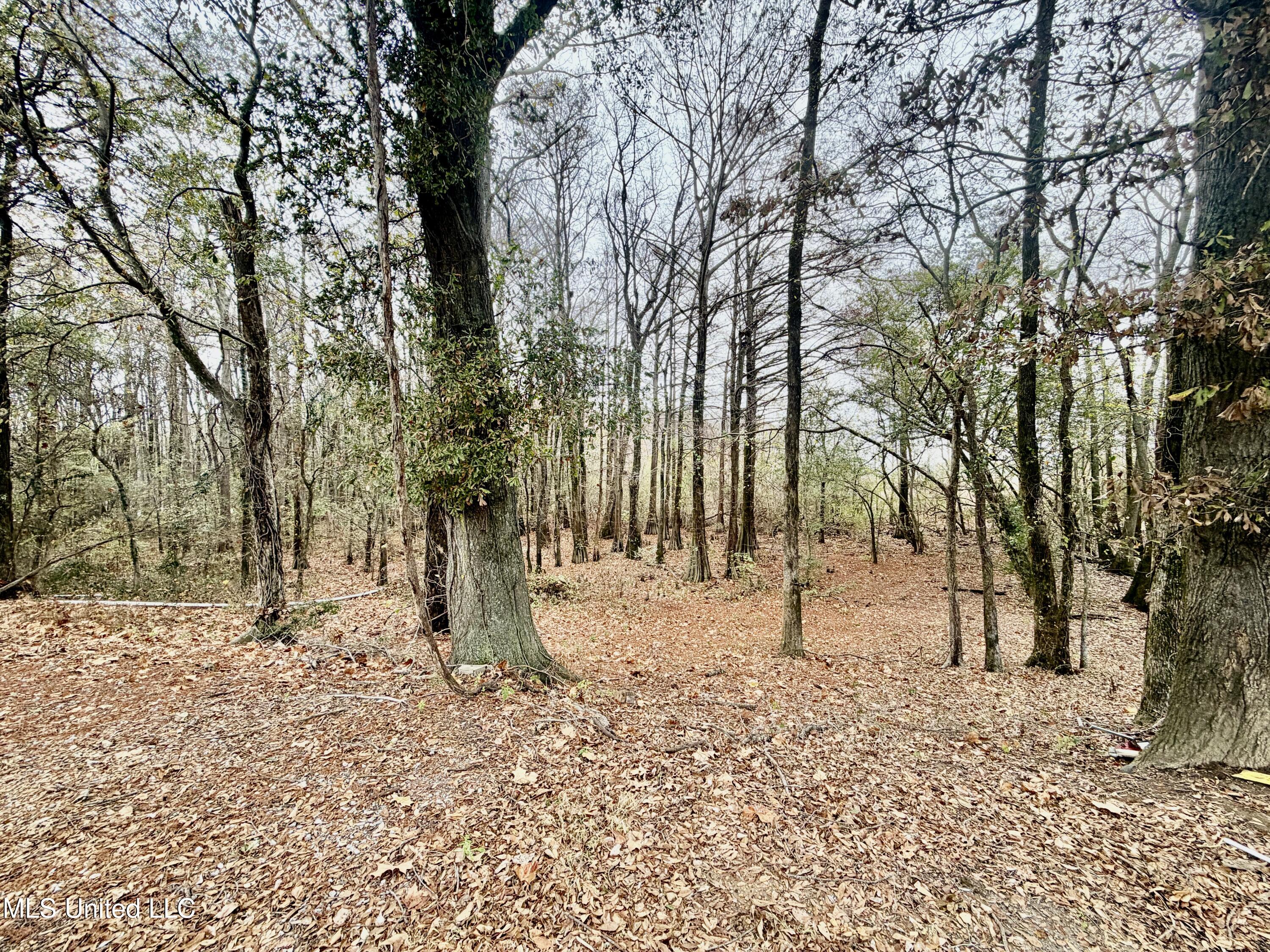 11404 Tippo Road Charleston, MS 38921 - Photo 26 of 28 IMG_0977