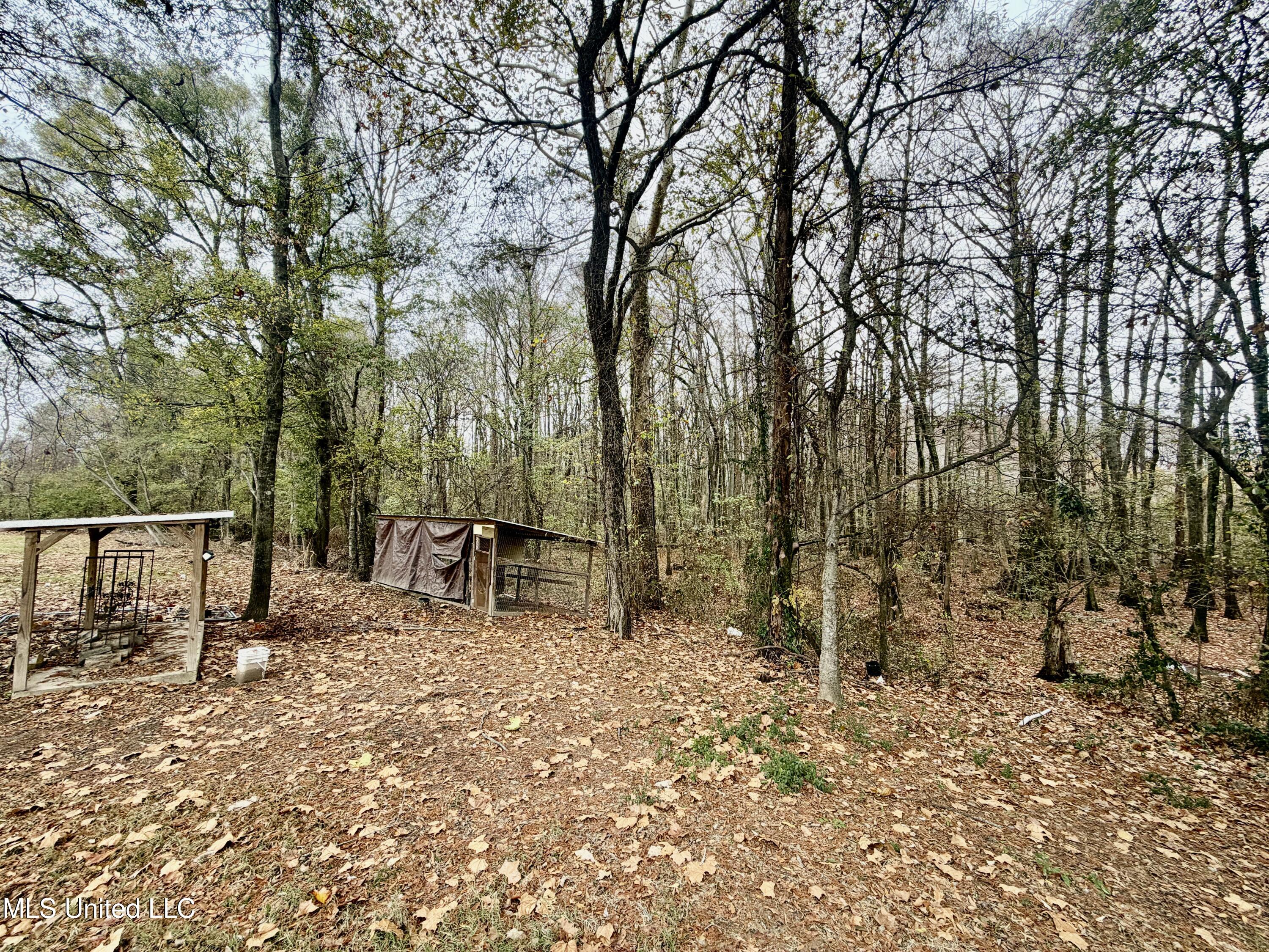 11404 Tippo Road Charleston, MS 38921 - Photo 27 of 28 IMG_0979