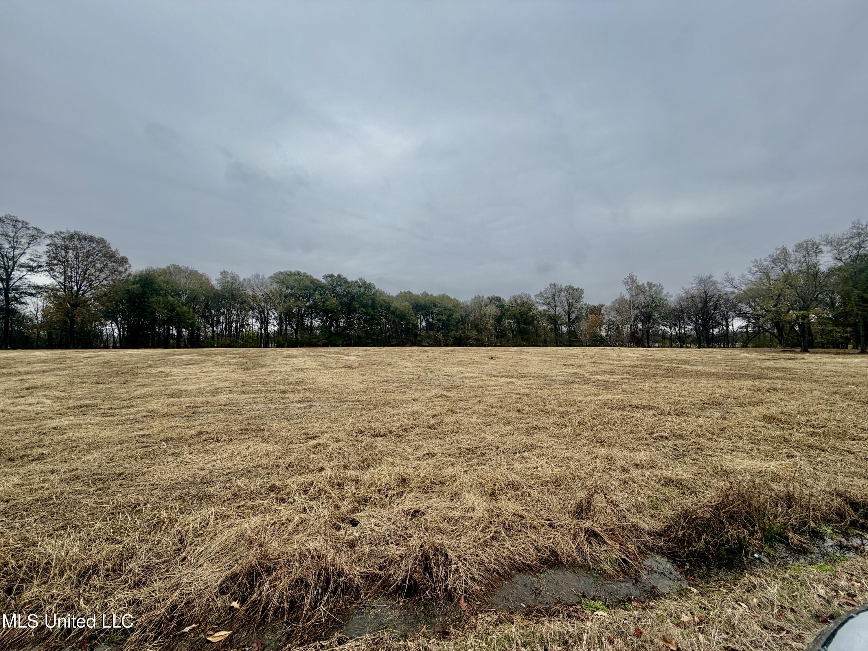 11404 Tippo Road Charleston, MS 38921 - Photo 28 of 28 IMG_1003