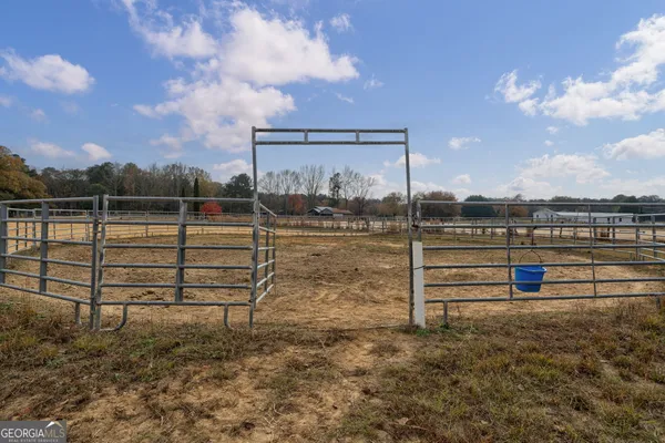 a view of a with large trees