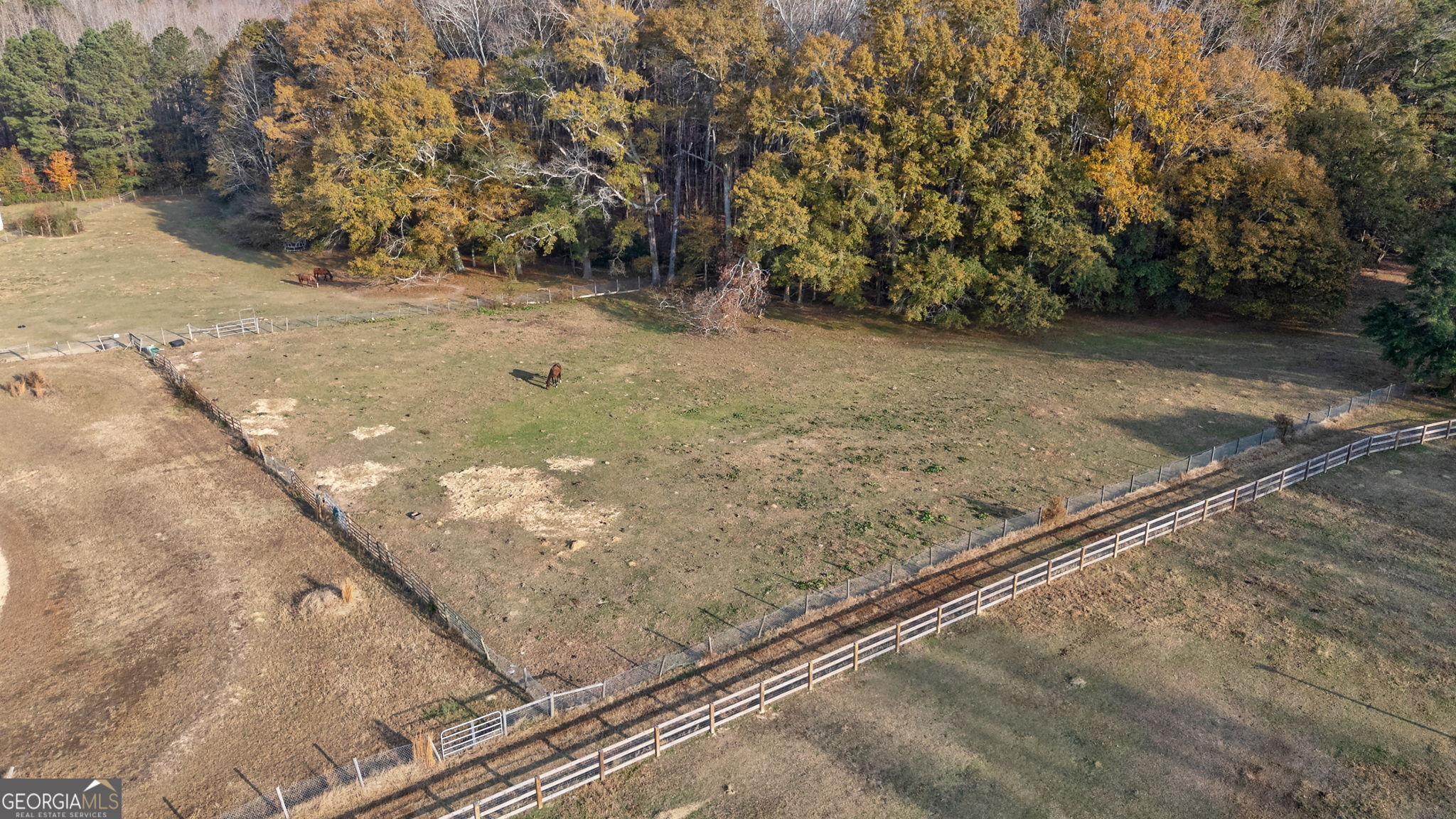 2161 Union Church Road Bishop, GA 30621 - Photo 5 of 47 a view of a yard