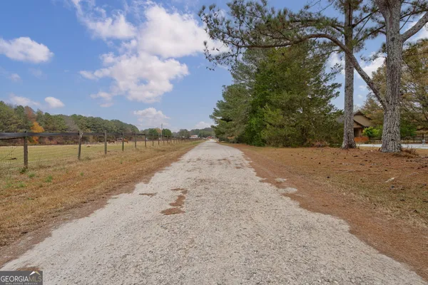 a view of a dry yard with a large tree