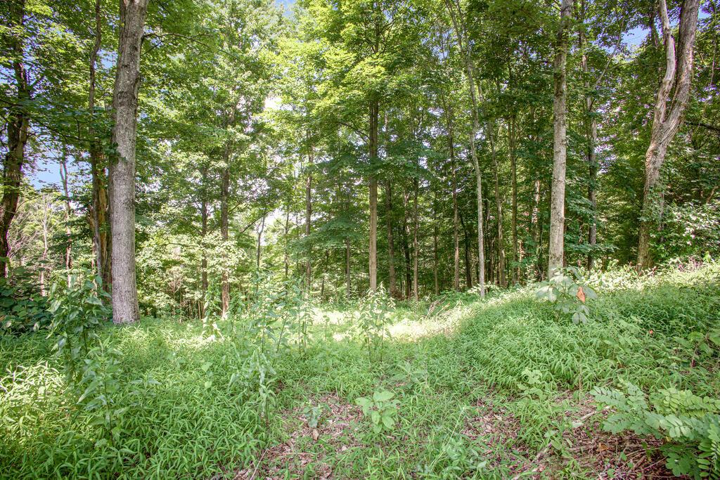 0 Calaway Road, Unit TRACT 5) Coolville, OH 45723 - Photo 11 of 32 IMG_2022