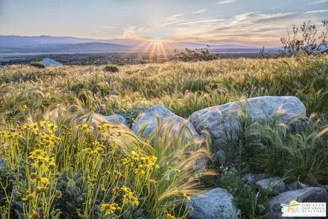 a view of a large tree with plants in front of it