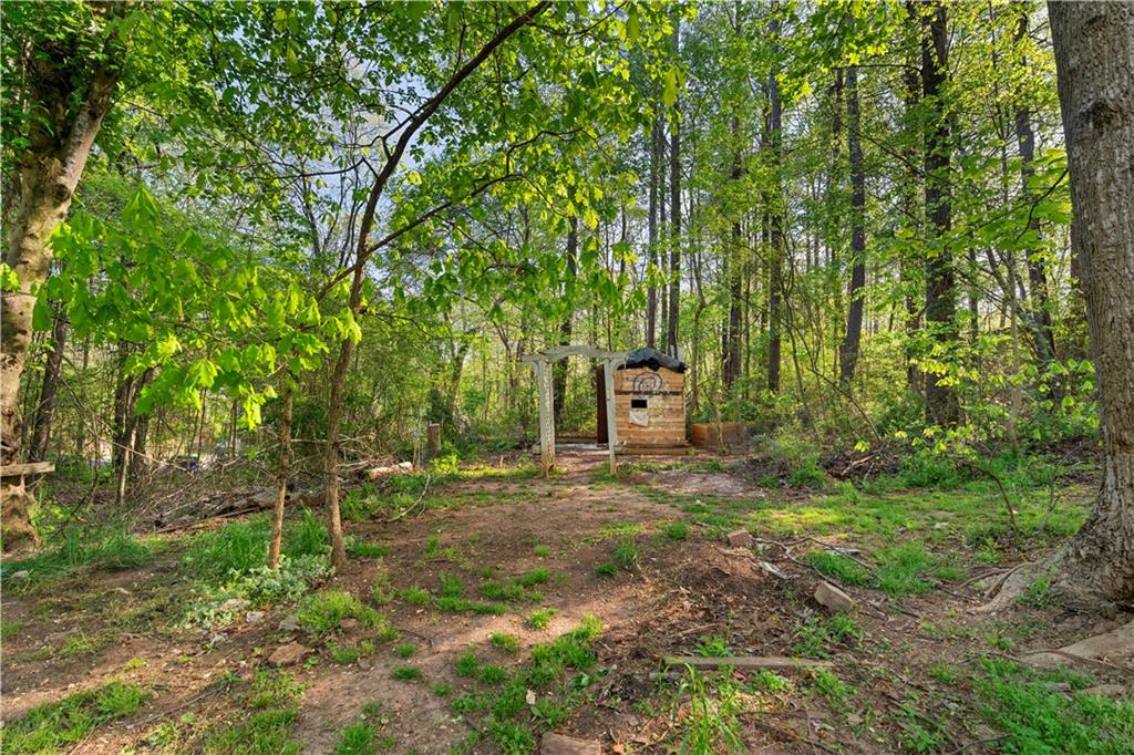 550 Henry Scott Road Ball Ground, GA 30107 - Photo 27 of 32