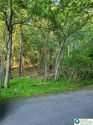 a view of a park with large trees