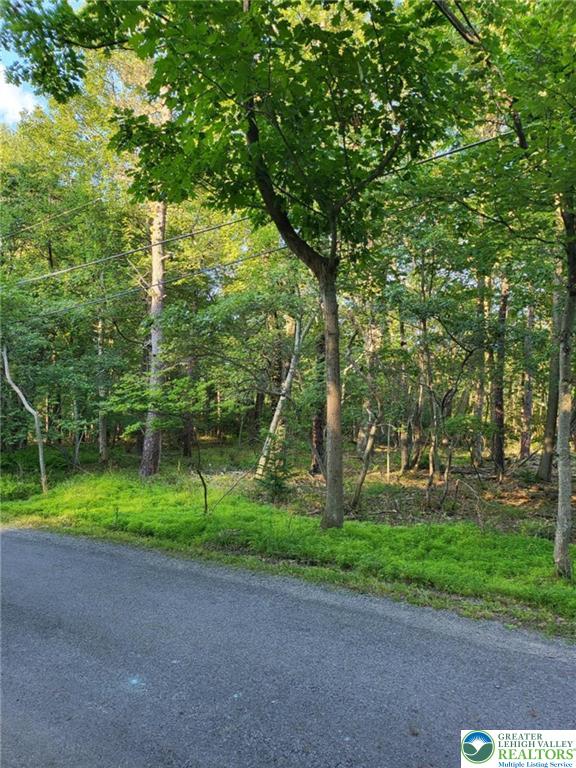 5120 Pine Tree Road, Unit 808 809 Pocono Summit, PA 18346 - Photo 2 of 7 a view of a park