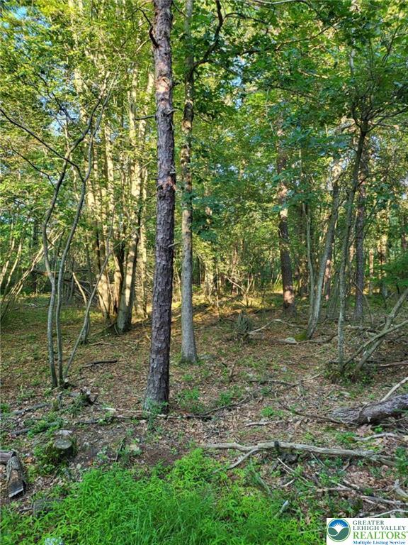 5120 Pine Tree Road, Unit 808 809 Pocono Summit, PA 18346 - Photo 3 of 7 a view of a forest with trees in the background