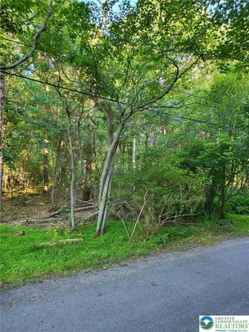 a green field with lots of trees in it