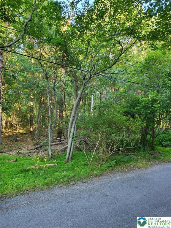 5120 Pine Tree Road, Unit 808 809 Pocono Summit, PA 18346 - Photo 5 of 7 a green field with lots of trees in it