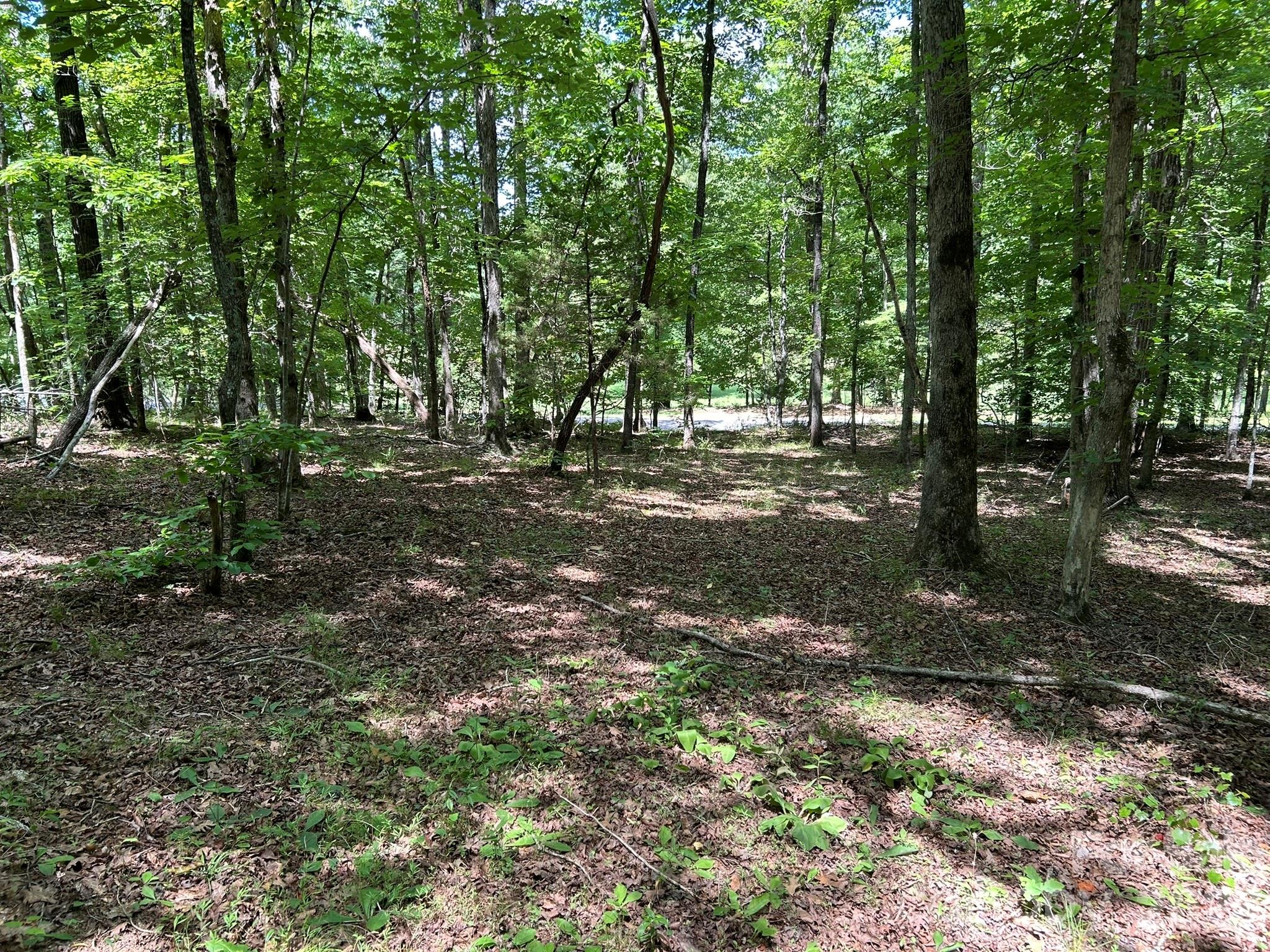 0 Wilderness Ridge, Unit 4 Rutherfordton, NC 28139 - Photo 4 of 11