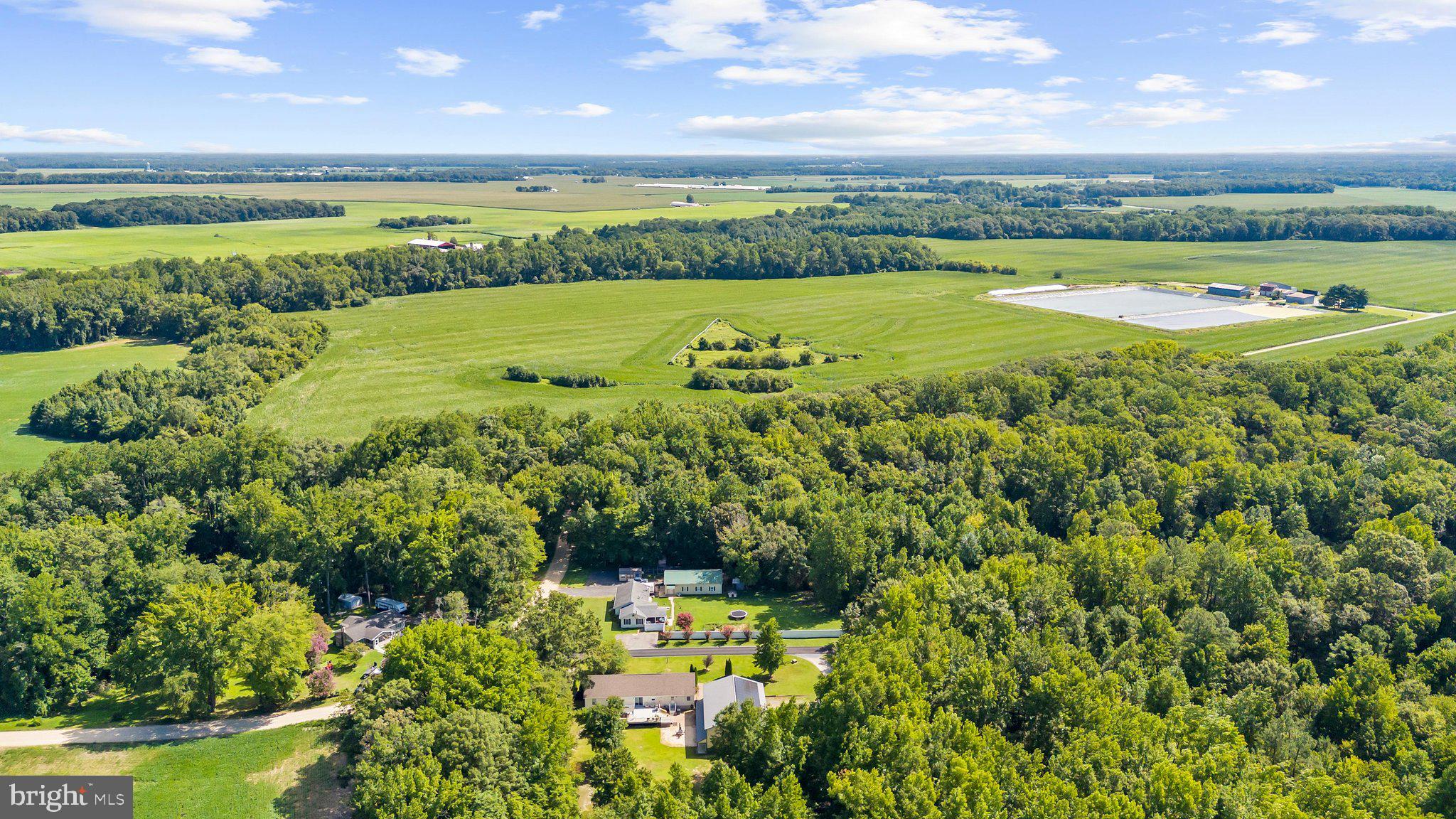 22845 Peaviner Road Ridgely, MD 21660 - Photo 63 of 72