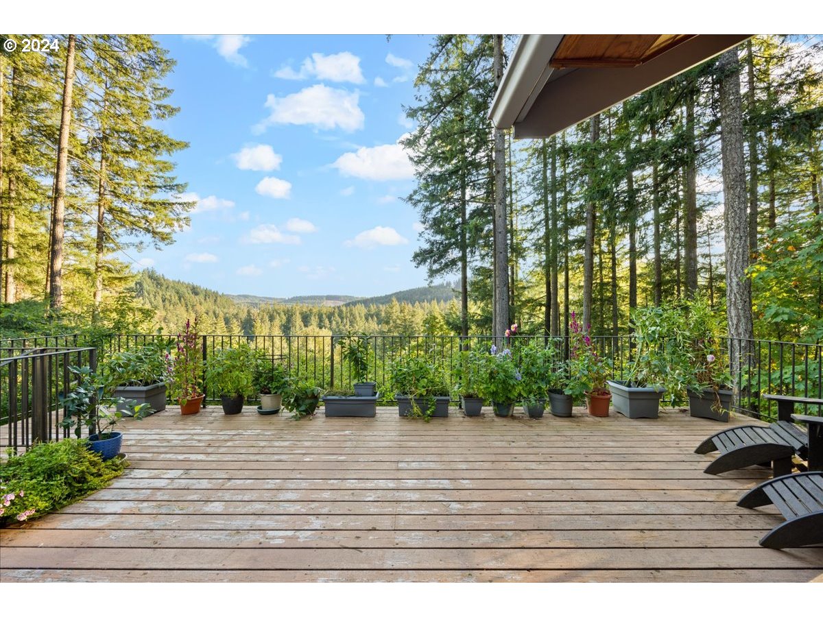 18650 South Lyons Road Oregon City, OR 97045 - Photo 2 of 47 a view of a backyard