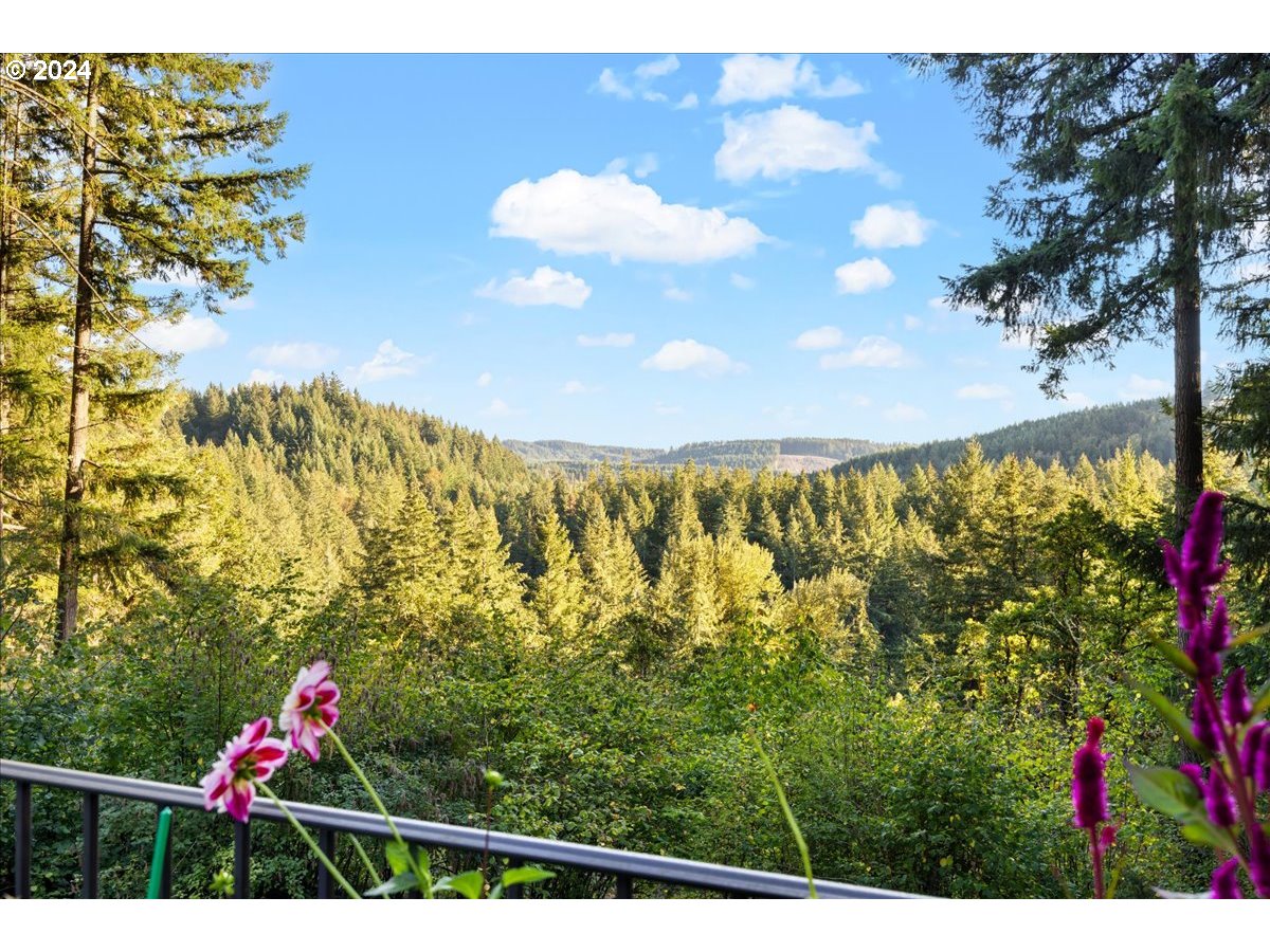 18650 South Lyons Road Oregon City, OR 97045 - Photo 3 of 47 a view of sky from a balcony