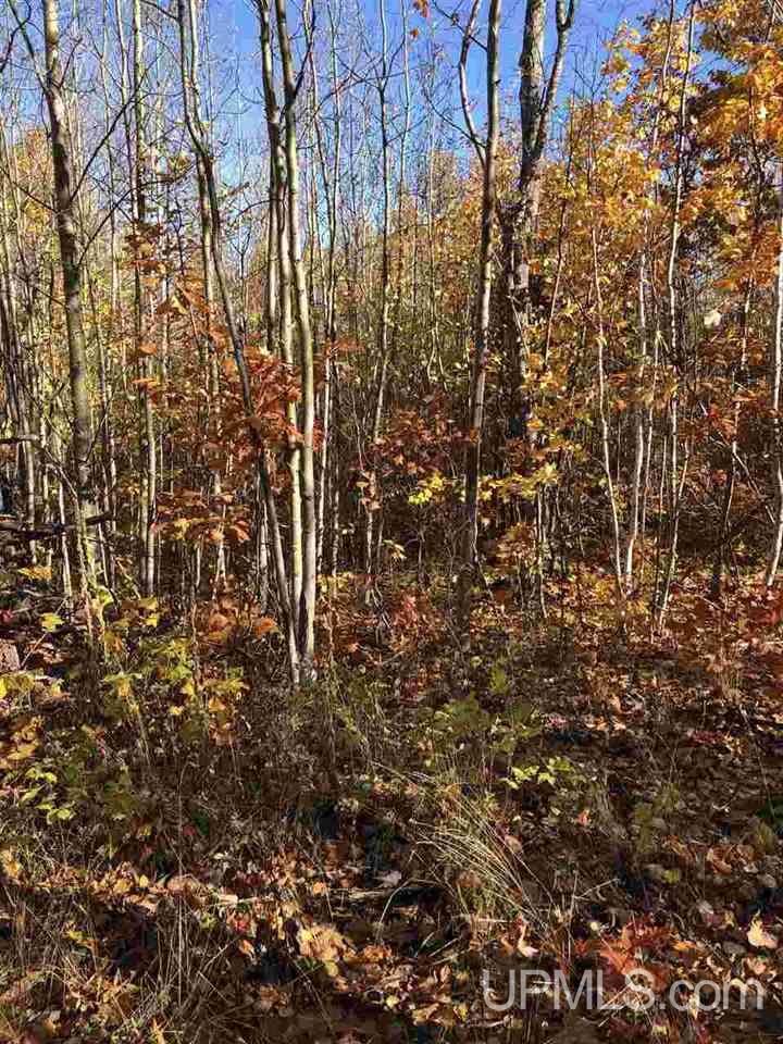 Tbd Tbd Kayleigh Road, Unit LOT 3 Mohawk, MI 49950 - Photo 3 of 5