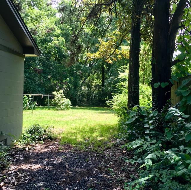 1823 Woodland Road Charleston, SC 29414 - Photo 3 of 12 Side/Back Yard