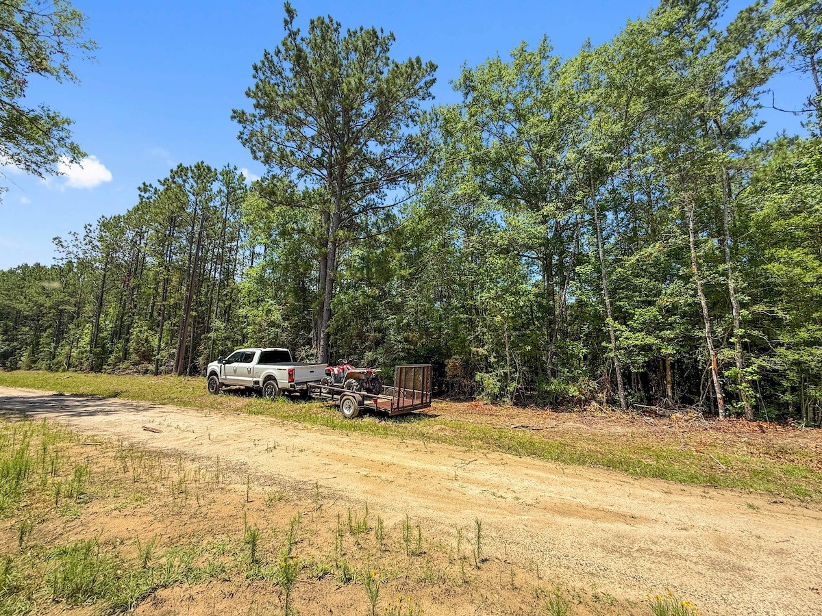 Tbd Hickman Road Burkeville, TX 75932 - Photo 8 of 45