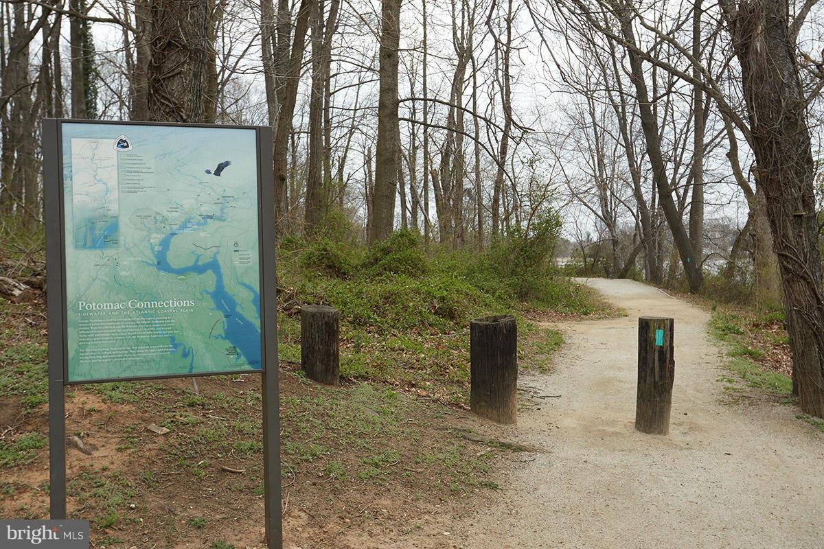 14706 Featherstone Road Woodbridge, VA 22191 - Photo 29 of 30 The park offers many different activities.