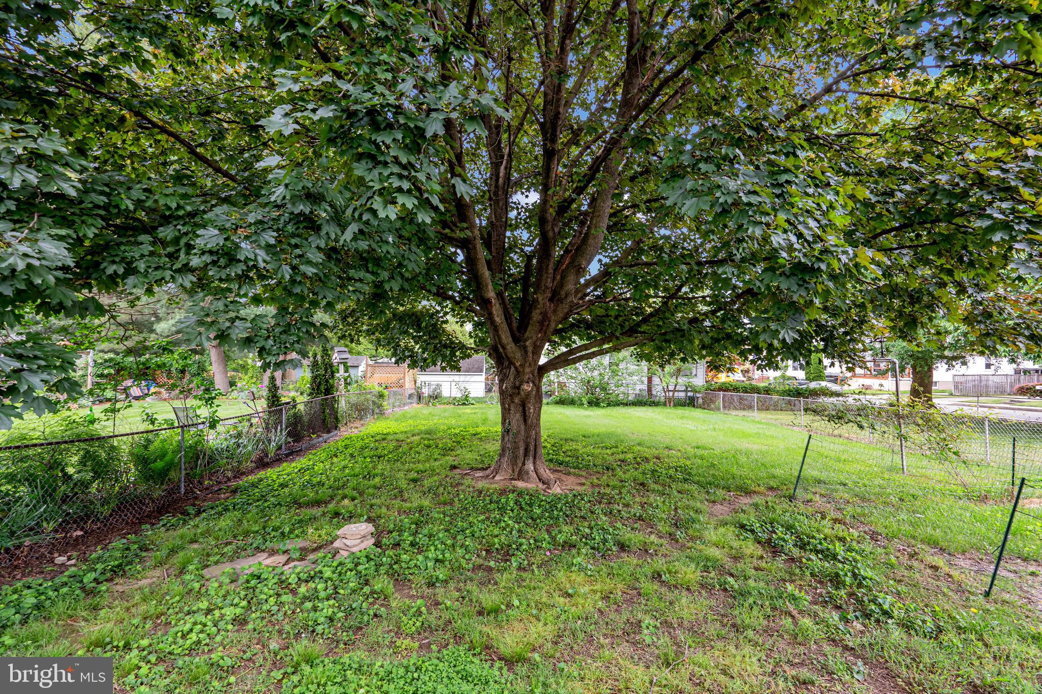 5311 Highview Road Halethorpe, MD 21227 - Photo 31 of 34 Open Space for Outdoor Fun