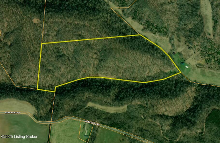0 Grn Holw Road Raywick, KY 40060 - Photo 14 of 17 derek taul marion co 40 acres aerial 1