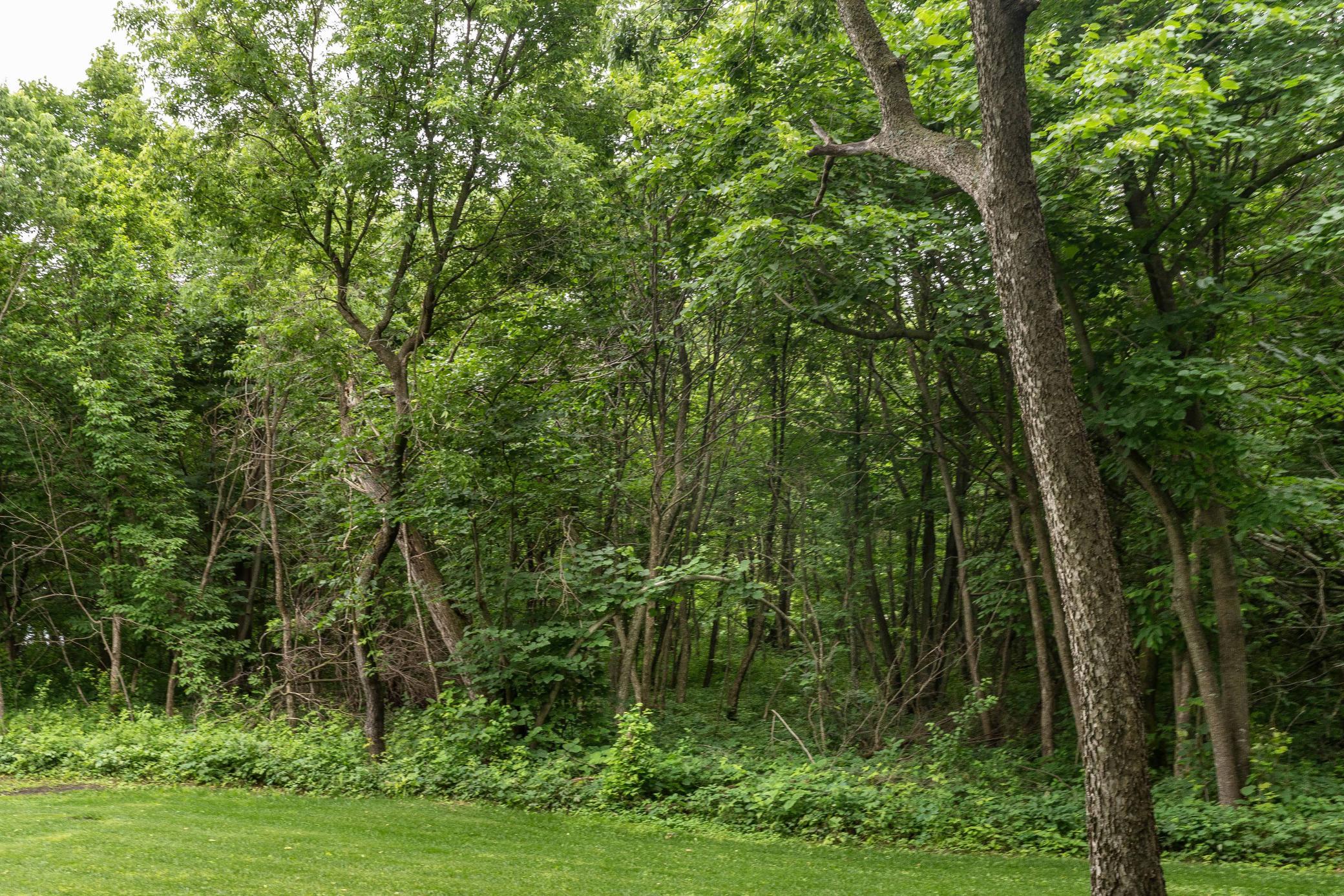 Tbd West Point Trail Richville, MN 56576 - Photo 3 of 20