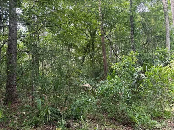 a aerial view of a house with a lush green forest