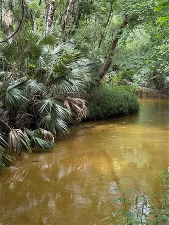 a view of swimming pool with a garden