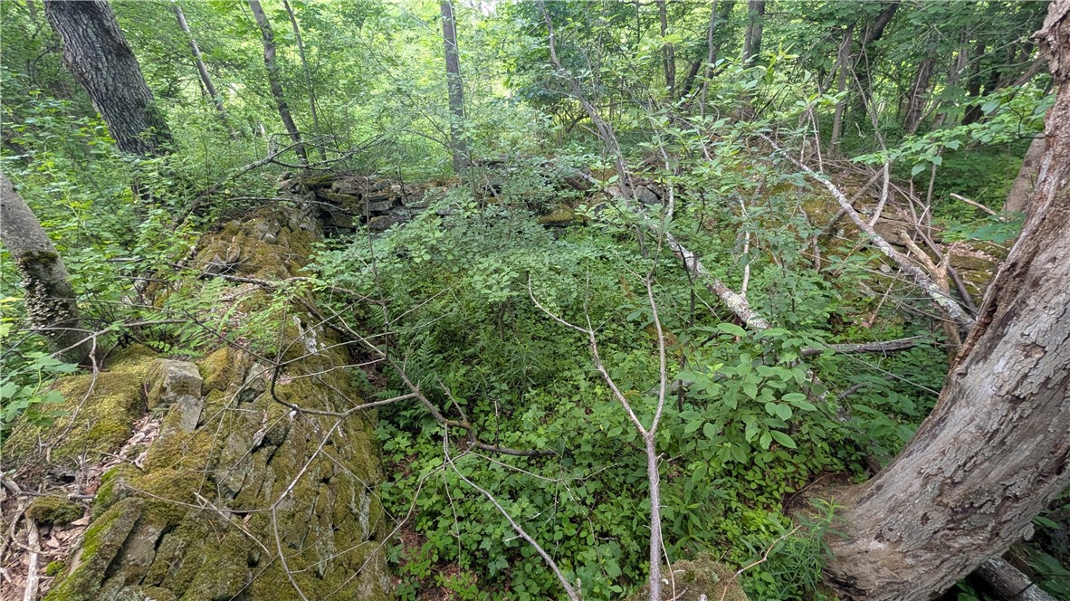 201 Sunrise Mountain Road Kortright, NY 13739 - Photo 42 of 49 Old stone foundation