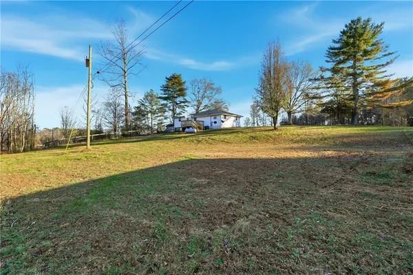a view of a yard with an trees