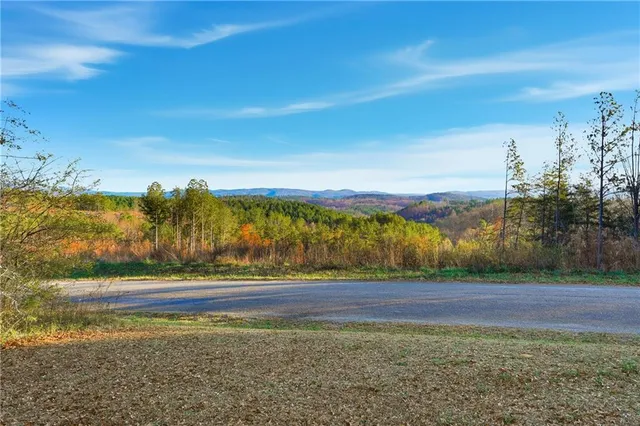 a picture of flowers