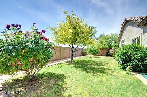 11029 West Granada Road Avondale, AZ 85392 - Photo 21 of 25 Backyard