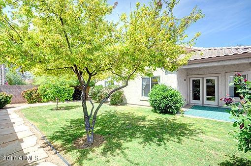 11029 West Granada Road Avondale, AZ 85392 - Photo 3 of 25 Backyard