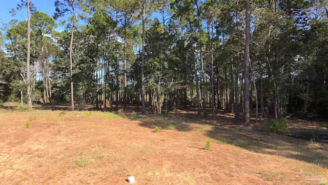 a view of a yard with plants and trees